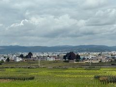 -大理实力希尔顿酒店•御玺中餐厅