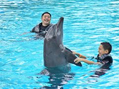 -新加坡水上探险乐园