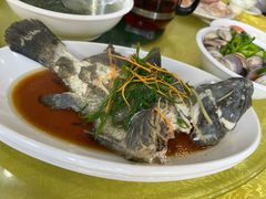 -锐记美食店·现捞海鲜(闸坡店)