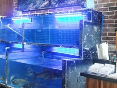 水产区-姜君·千岛湖鱼头馆(浦东大道店)