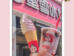 -蜜雪冰城·冰淇淋与茶(河大店)