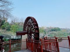 -重庆彩云湖湿地公园