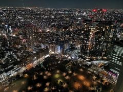 -东京都厅舍