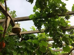-小仙居·农家宴烤羊· 农庄