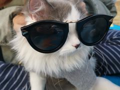 -杭州城北体育公园