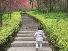 -云龙山