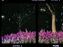 -公平路渡口(轮渡站)