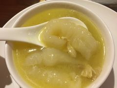 花胶鸡锅底-尚海豆捞(乐虹坊店)