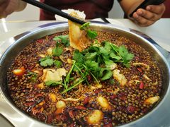 -清真·拉菲尔鱼庄·家常菜(钟楼回民街店)