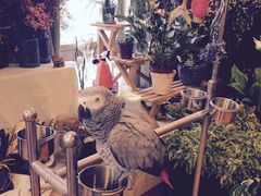 -森野花艺培训·企业团建活动沙龙