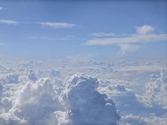 -白老三牛肉丸子面(平阳广场店)