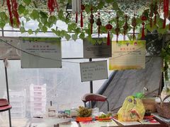 -马陆小张葡萄园农家乐