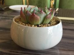 -粤海璇宫·木棉花高空旋转餐厅·聚会派对