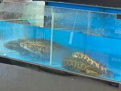 -香满锅老北京羊蝎子火锅·家常菜(新街口店)