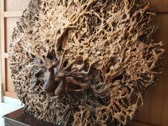 -汕头金乐大酒店