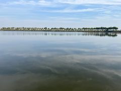 -南大港湿地风景区