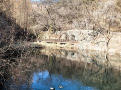 -国家植物园南园