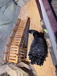 -酷嗒动物文化乐园(cutezoo西溪乐天城店)