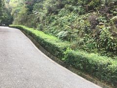 -广州市帽峰山景区