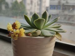 -王红军龙虾(新民路店)