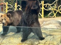 -常州淹城野生动物世界