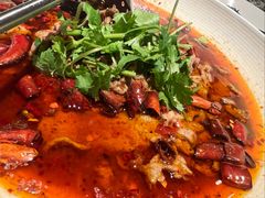 水煮牛肉-金谷仓家庭料理(马泉营店)