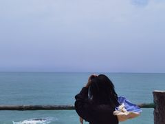 -广东惠东海龟国家级自然保护区