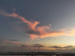 -敦南真爱月子会所(黄埔店)