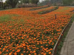 -白鹭湾湿地公园