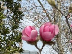 -上海植物园-4号门售票处