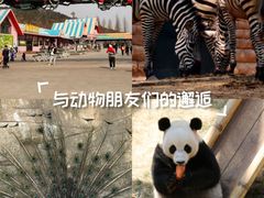 -大连森林动物园