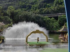 -西双版纳原始森林公园