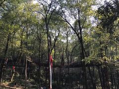-石燕湖生态旅游景区