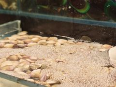 -苏格里岛自助烤肉海鲜火锅(成都金牛万达店)