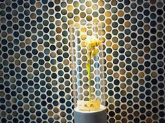 -Radar Coffee(思南路店)