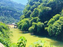 -三峡人家风景区