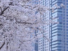 -西北湖绿化广场