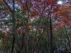 -崂山巨峰游览区