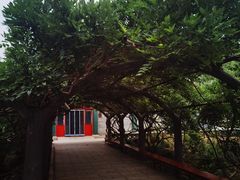 -红螺寺