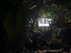 -斯多格书乡(北京大学畅春园店)