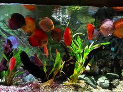 -上海海洋水族馆