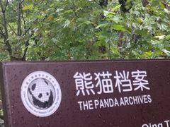 -都江堰中华大熊猫苑
