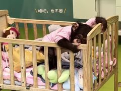 -深圳野生动物园