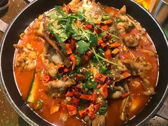-蛙喔牛蛙(高新绿宝店)
