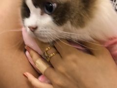 -美联众合动物医院·24h京西诊疗中心