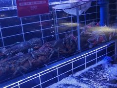 -小螺号海鲜·地道鲁菜(省体总店)