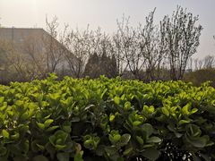 -朝阳体育中心