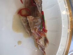 -潮府馆·非遗潮州菜·世纪公园(新国际博览中心店)