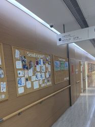 -上海首尔丽格医疗美容医院