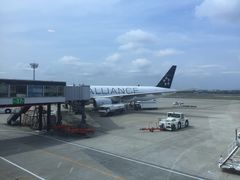 -全日本空输株式会社(上海办事处)